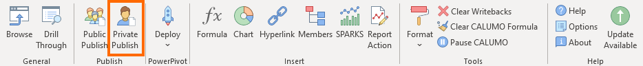 Publish Report in Excel